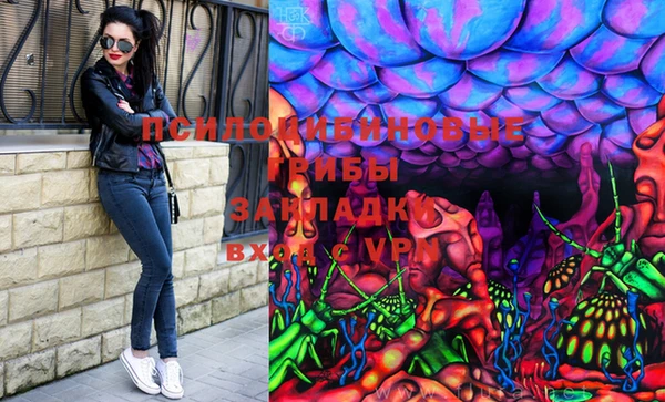 молекула духа Абинск