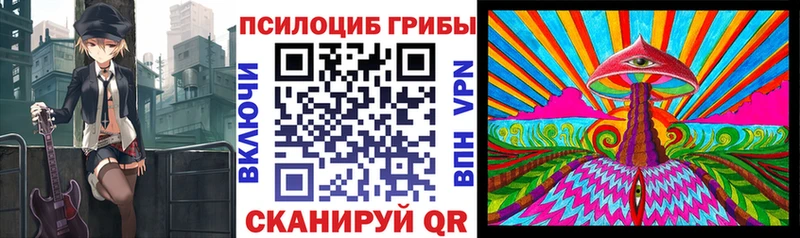 Псилоцибиновые грибы GOLDEN TEACHER  omg онион  Шиханы  купить наркотики цена 